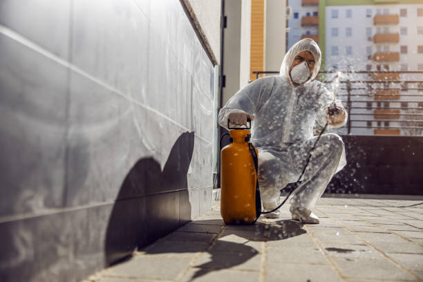 istockphoto 1248167338 612x612 istockphoto 1248167338 612x612